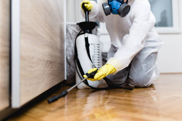Best Residential Pest Control  in Duluth, MN