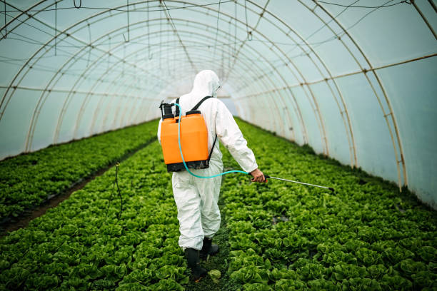 Best Affordable Exterminators  in Duluth, MN