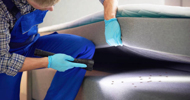 Best Cockroach Control Services  in Duluth, MN
