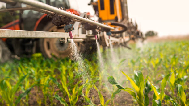 Best Commercial Pest Control Services  in Duluth, MN